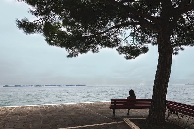 Silent Intrigues